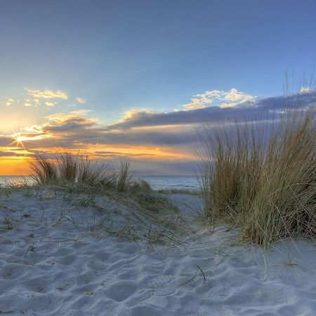 Urlaub Im Wintergarten Rostock-Lichtenhagen-Dorf Διαμέρισμα Εξωτερικό φωτογραφία